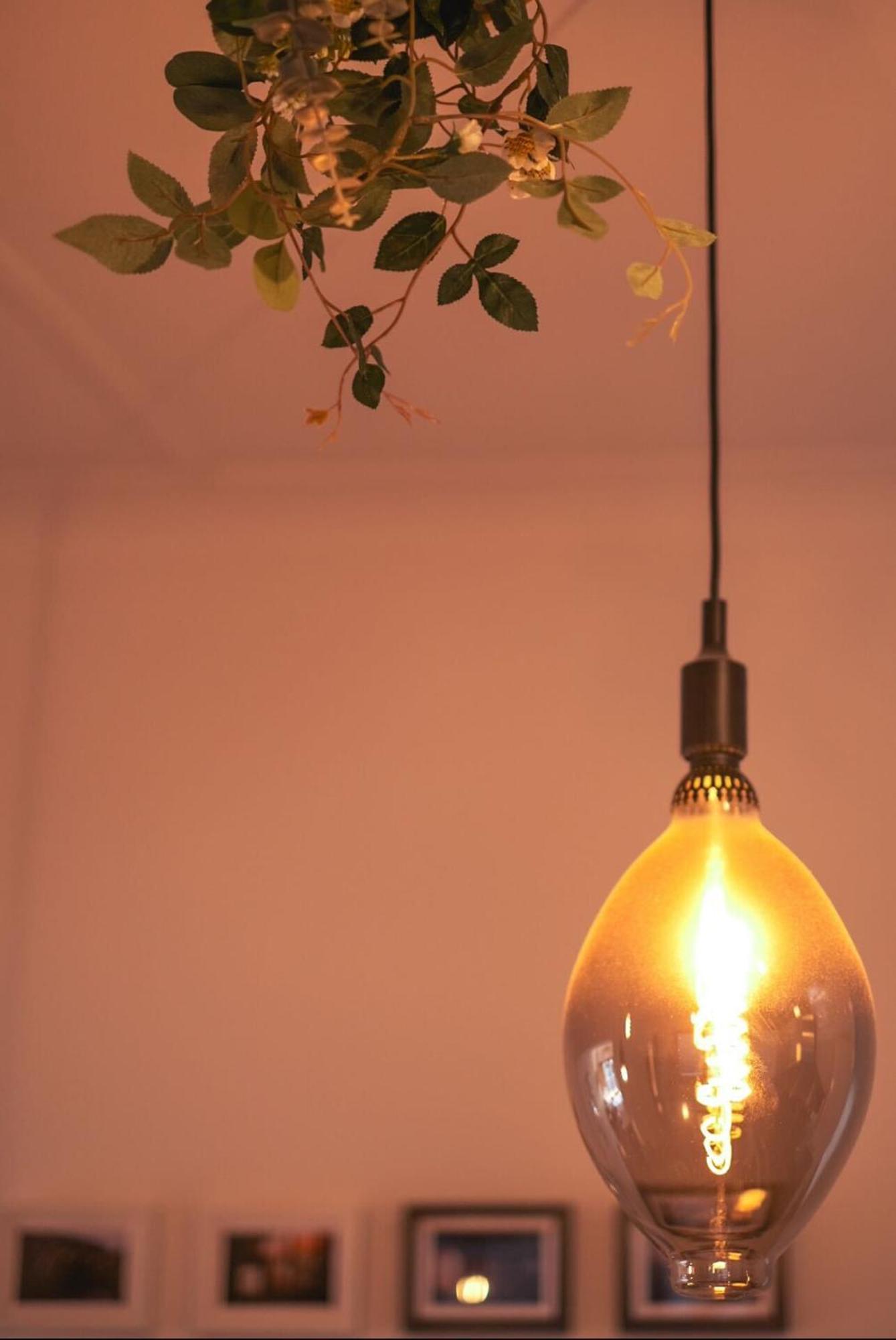 Stylish 2-bed In Trendy Erskineville Holiday home